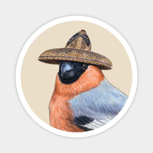 Eurasian bullfinch Magnet